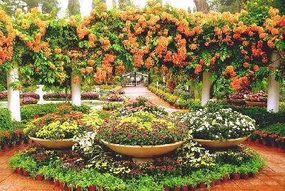 檳城花卉節 展區看奇花